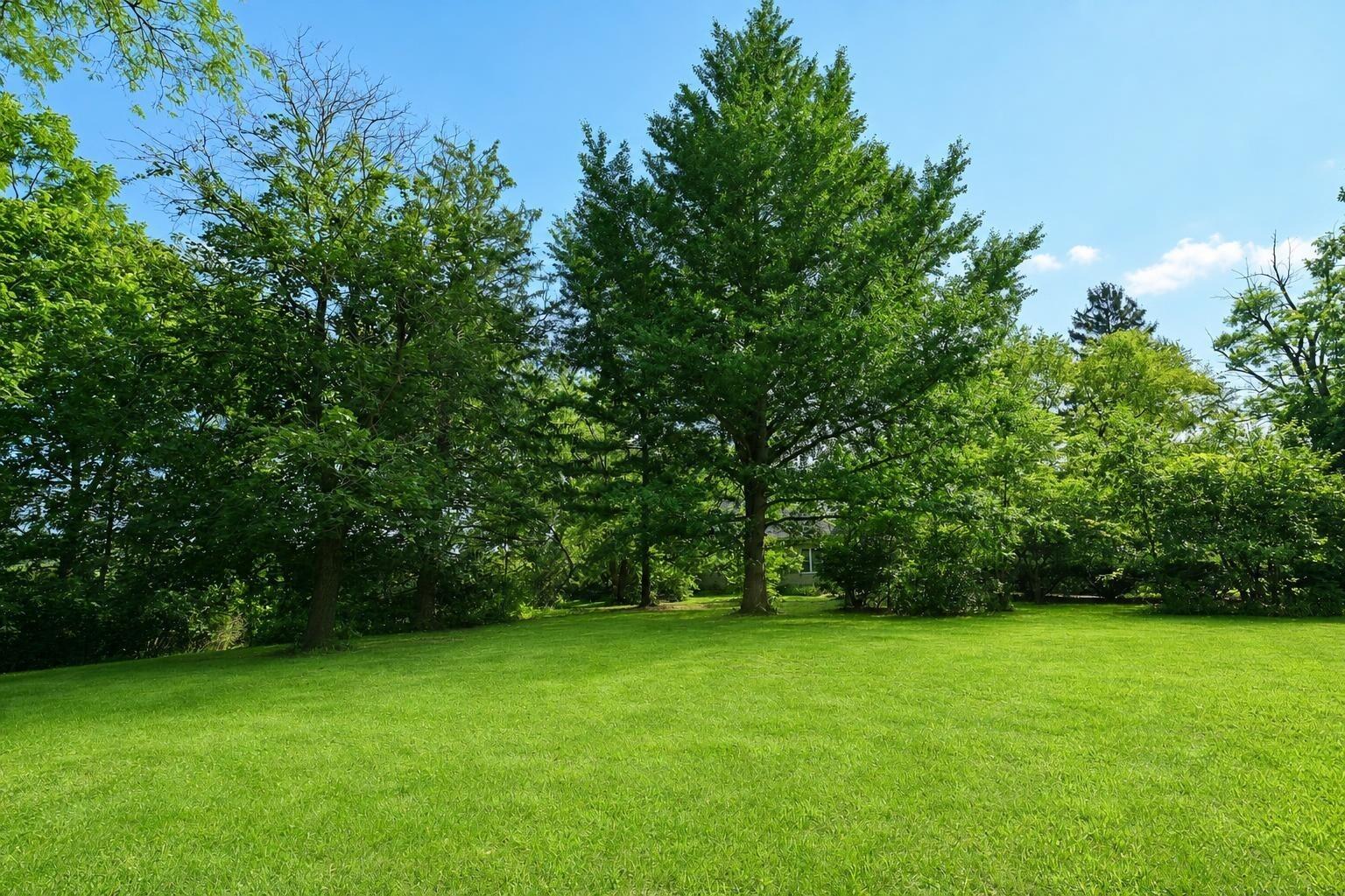 2466 E State Route 245 Property Photo 62