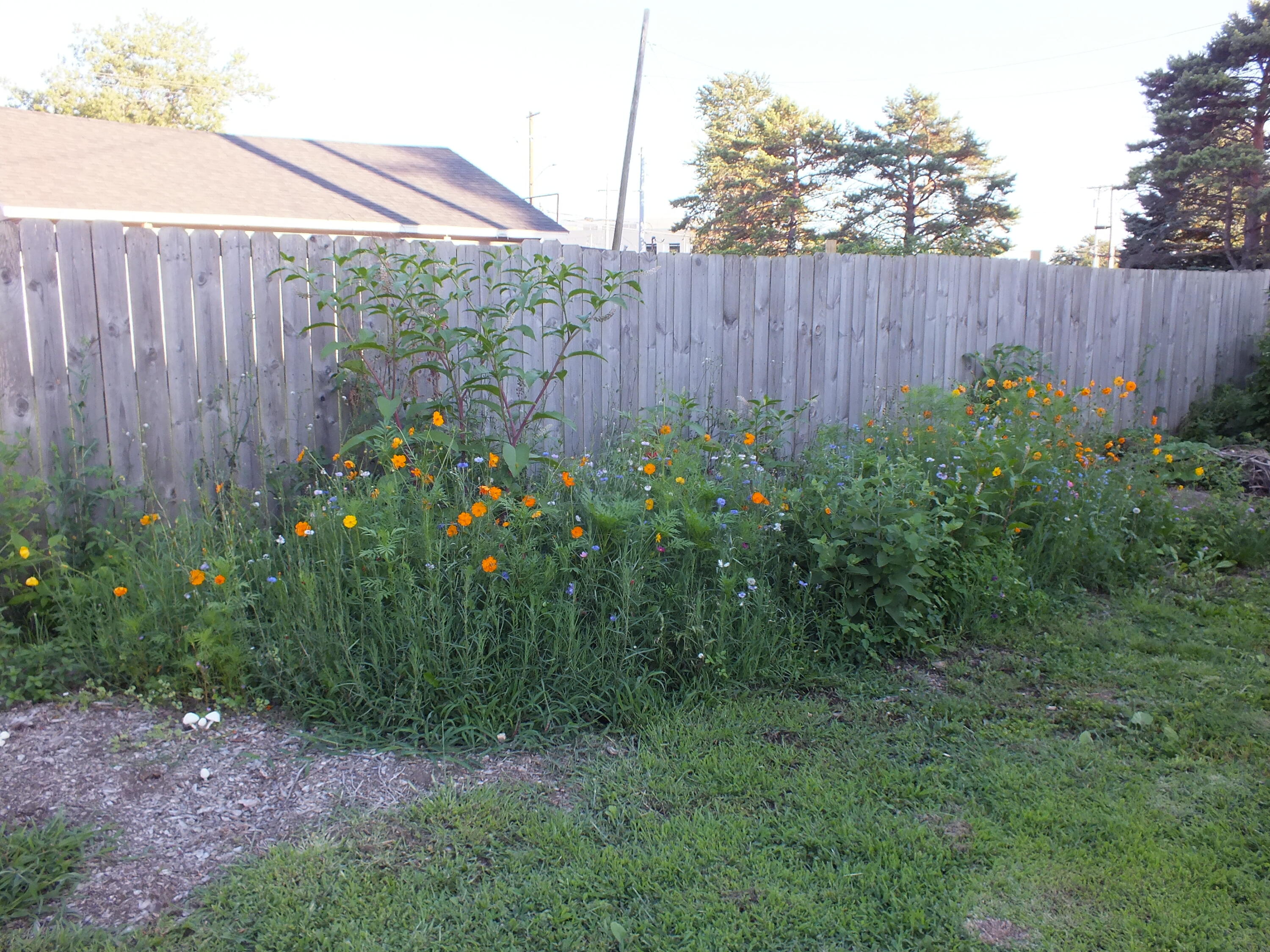 731 Rush Avenue Property Photo 11