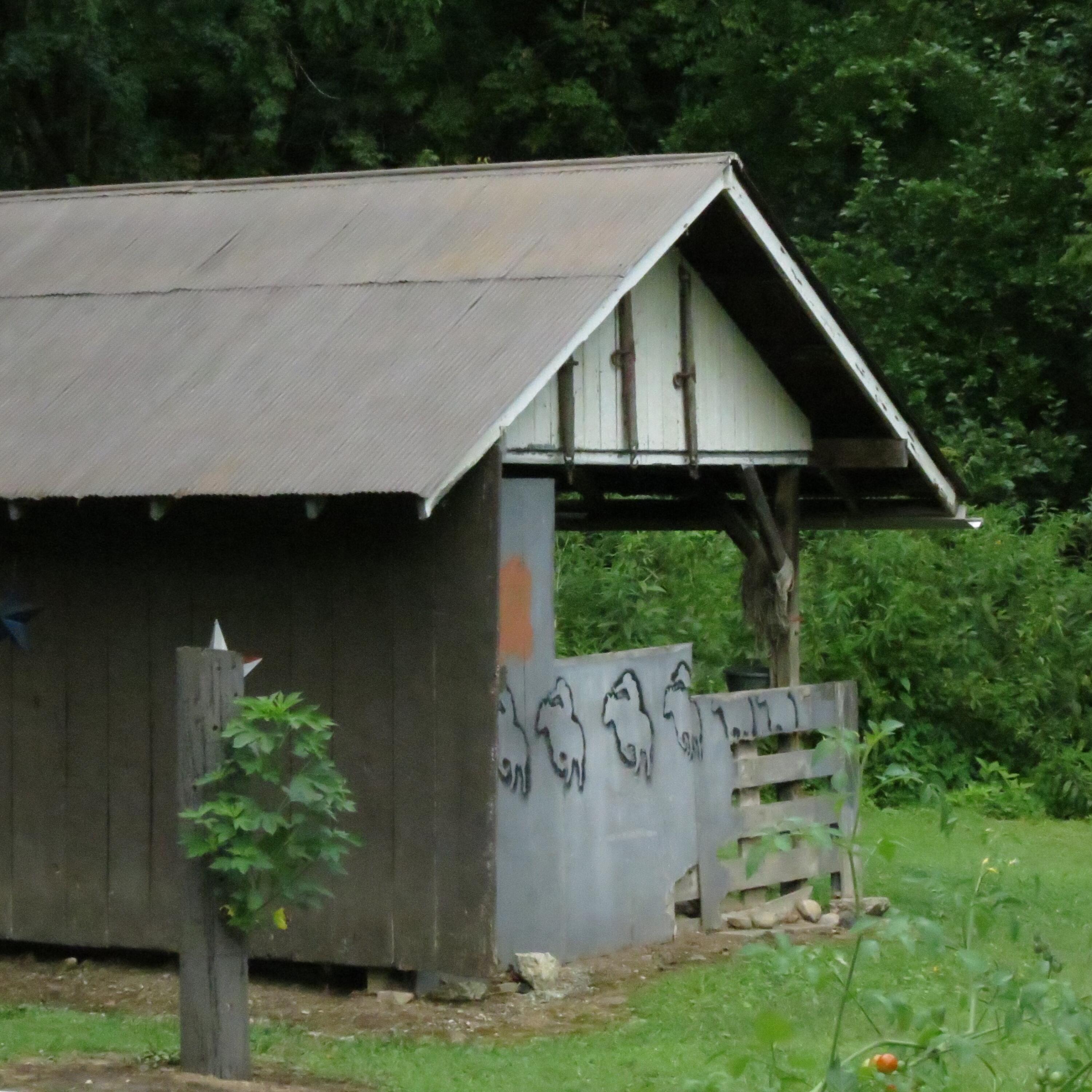 3803 River Road Property Photo 18