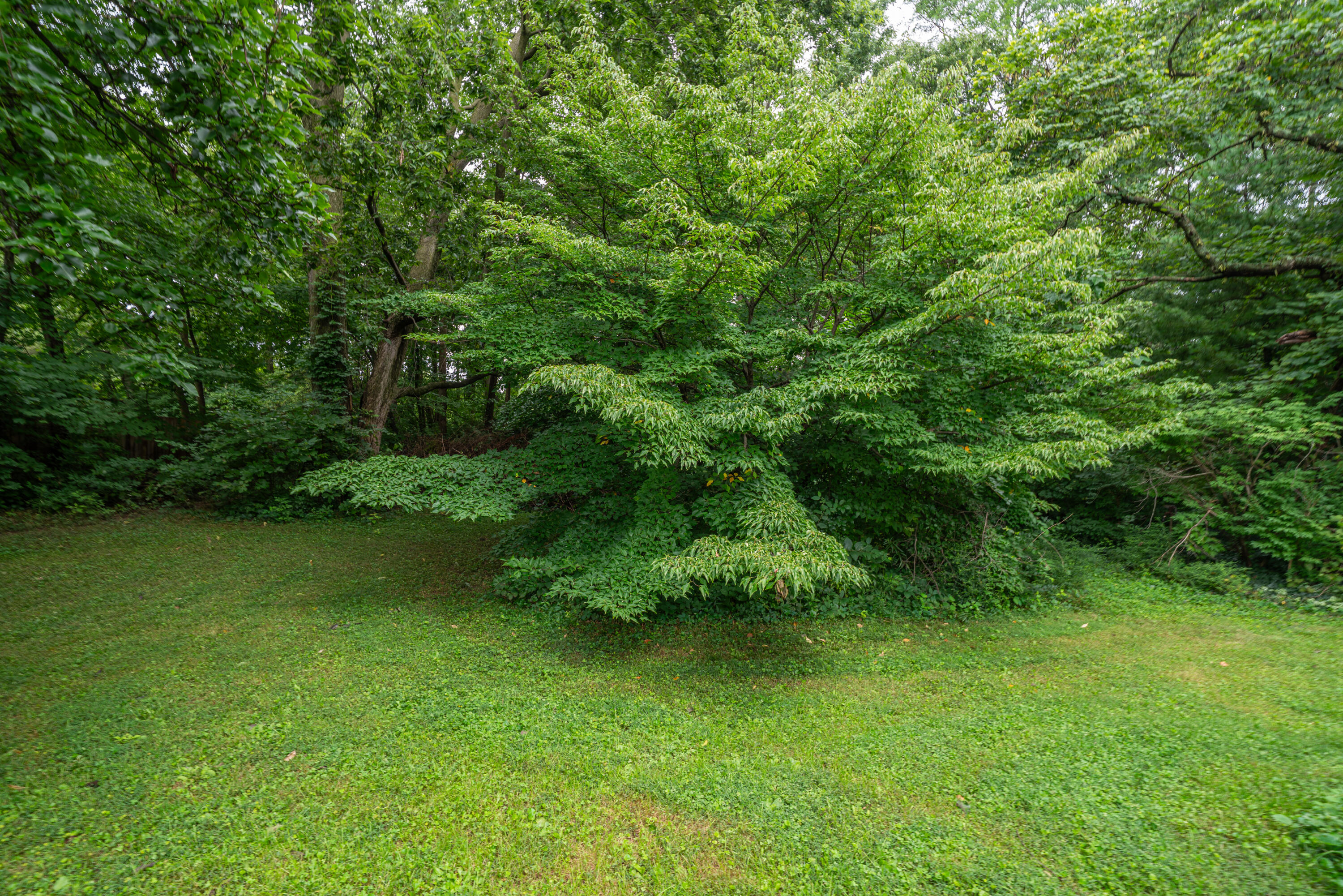 420 Grange Hall Road Property Photo 41