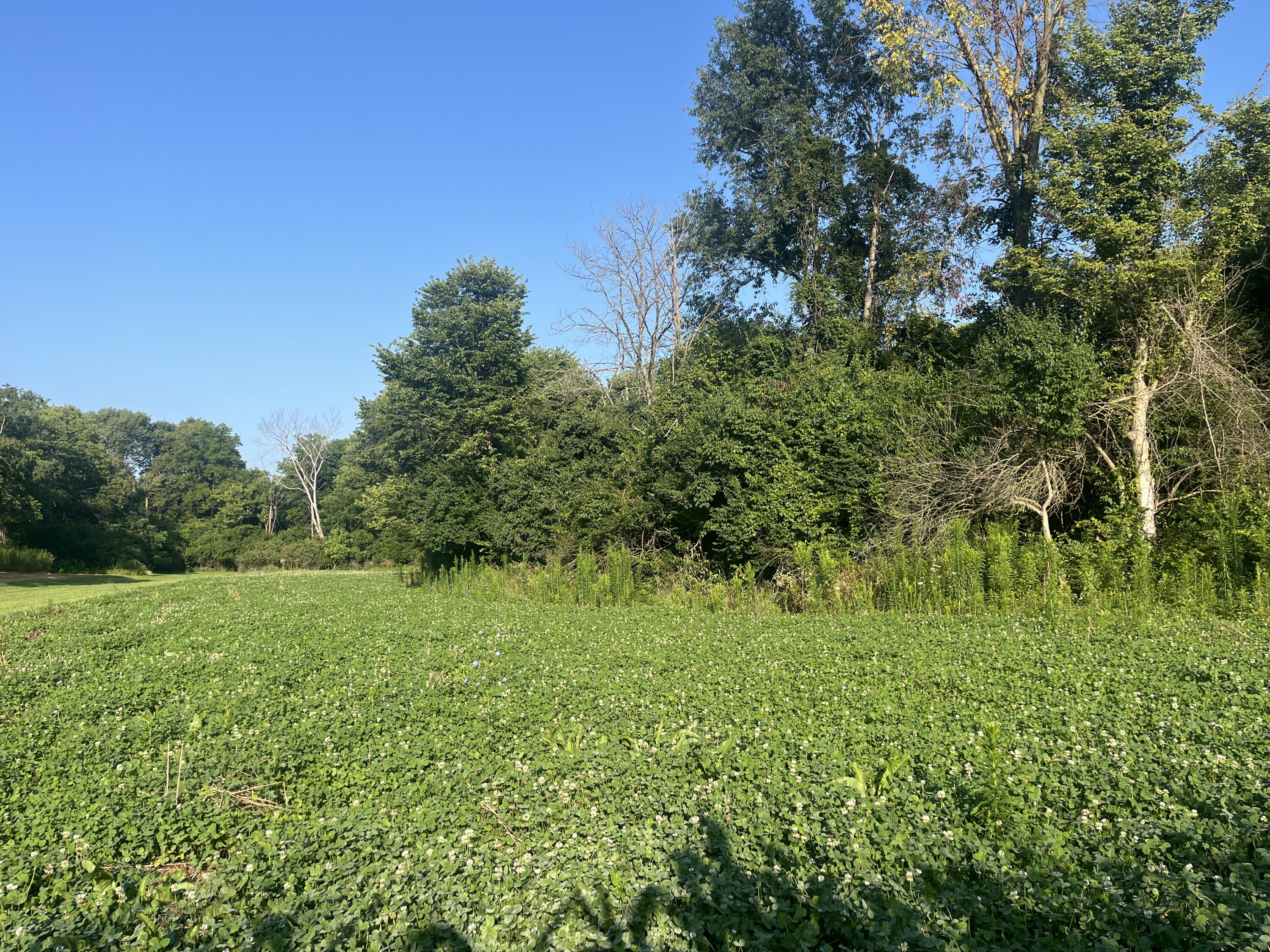 0 E Rusk Road Property Photo 13