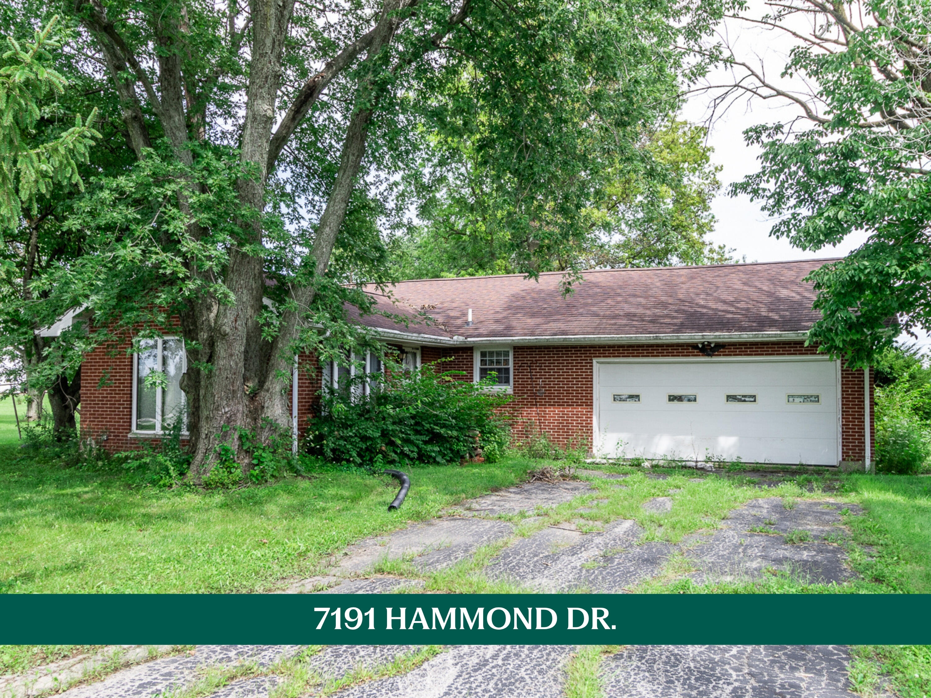 7191 Hammond Drive Property Photo 1