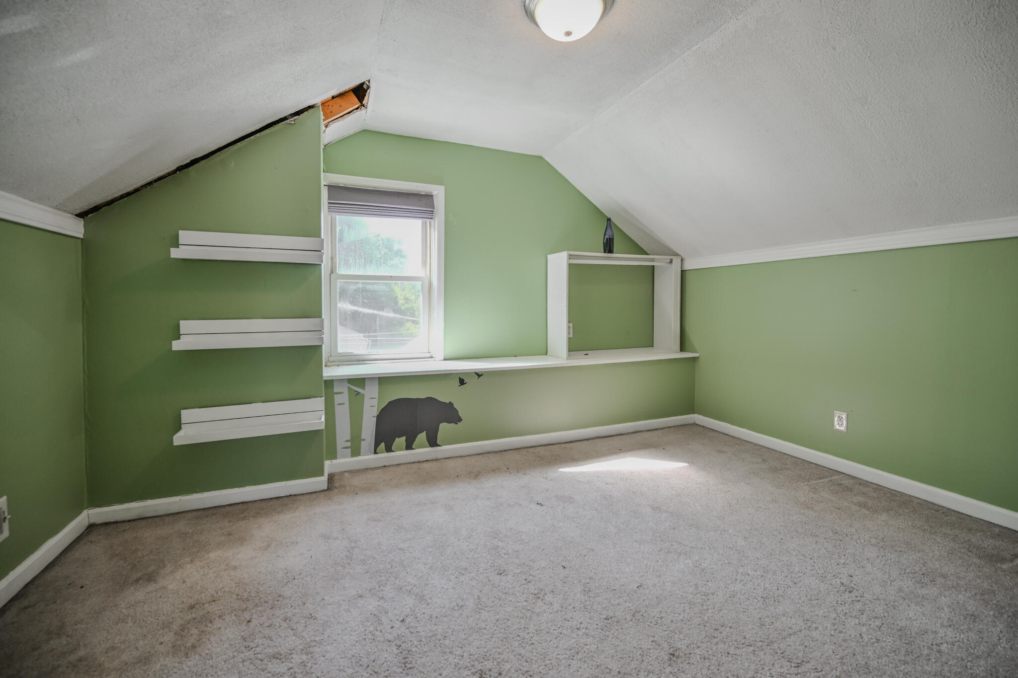 505 Sidney Street Property Photo 21