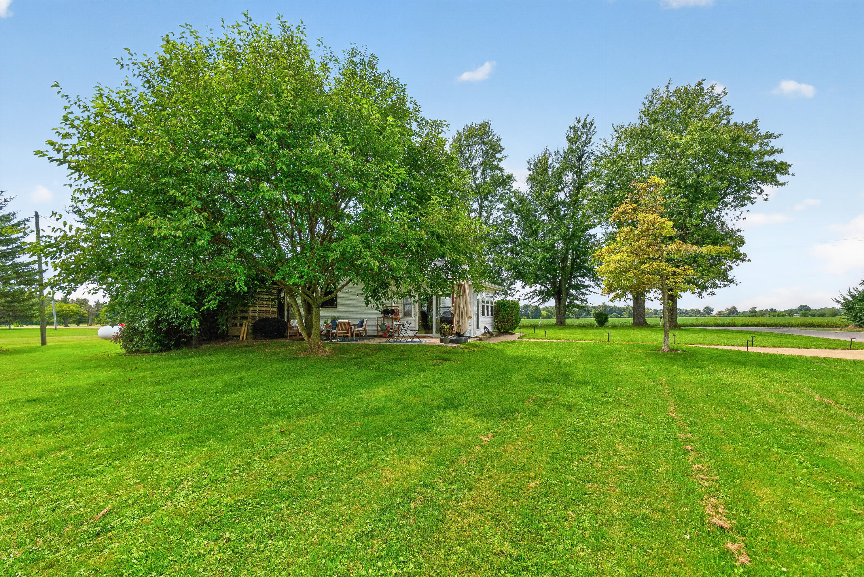 10159 Mitchell Dewitt Road Property Photo 47