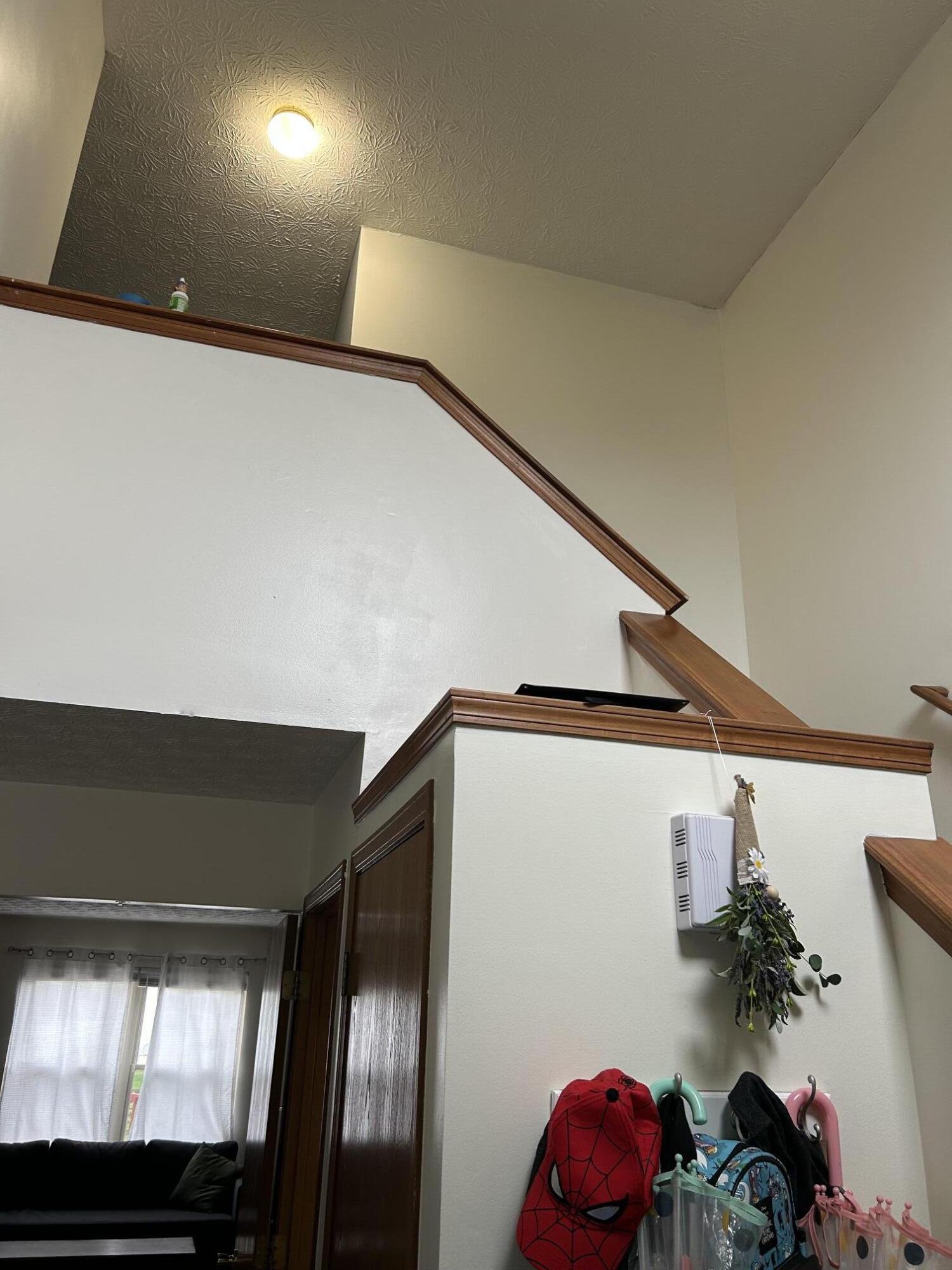 1065 E Margate Circle Property Photo 11