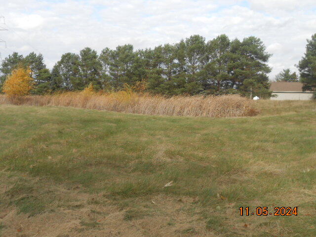 4885 Wolfe Road Property Photo 30