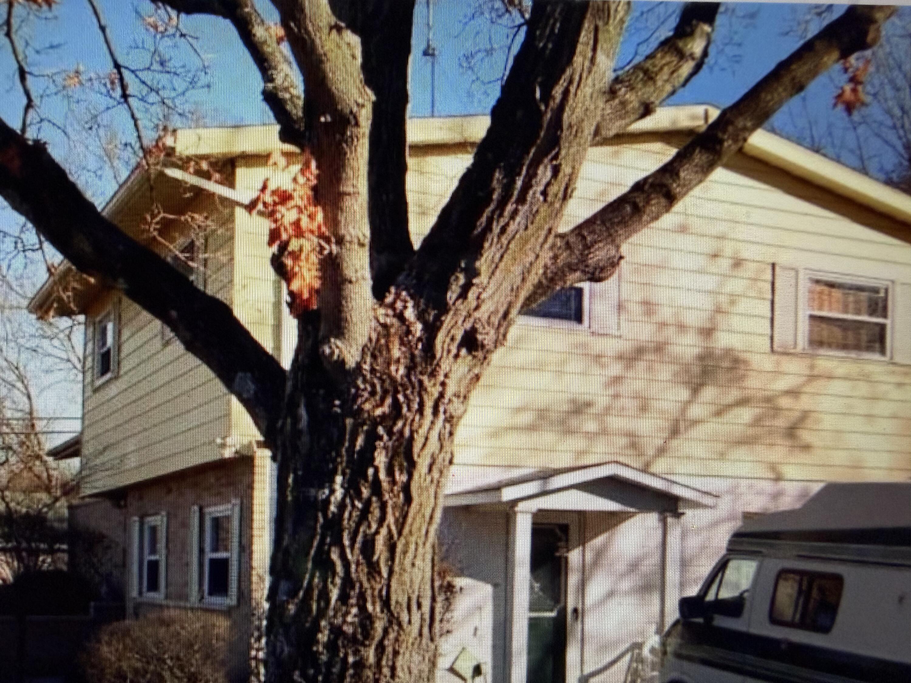 1744 Brookhollow Drive