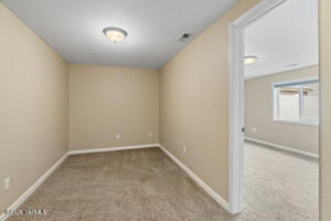 1113 69th Ave Property Photo 25