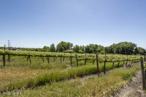 Tbd Wilson Hwy Property Photo 2
