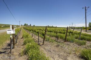 Tbd Wilson Hwy Property Photo 5