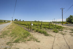 Tbd Wilson Hwy Property Photo 6