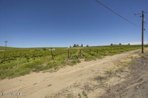 Tbd Wilson Hwy Property Photo 7