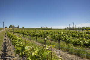 Tbd Wilson Hwy Property Photo 8