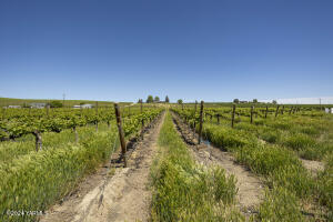 Tbd Wilson Hwy Property Photo 9