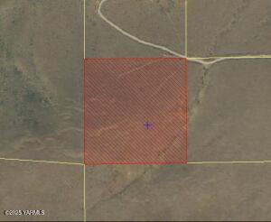 Nna Desiree Ln Property Photo 1