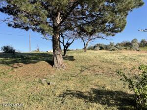 2090 Konnowac Pass Rd Property Photo 22