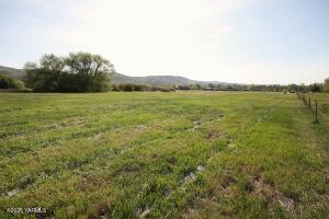 Lot 7 Woodhouse Lp Property Photo 1