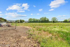 12805 Rutherford Rd Property Photo 21