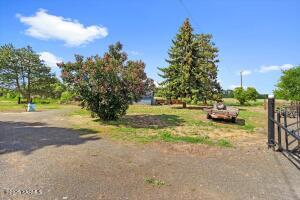 12805 Rutherford Rd Property Photo 24
