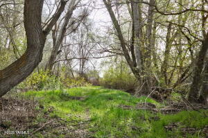 13907 Wide Hollow Rd Property Photo 31