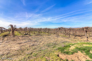 360 Orchardvale Rd Property Photo 48