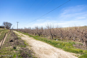 4851 Lombard Loop Rd Property Photo 22