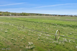 15791 Rutherford Rd Property Photo 9